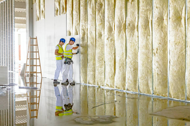 Professional Foam Insulation Services in Hudson, IL